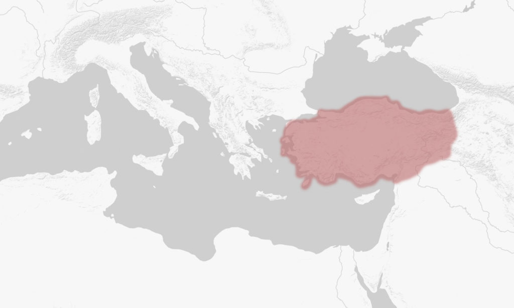 Map of Mediterranean Sea with the approximate boundaries of Asia Minor highlighted.
