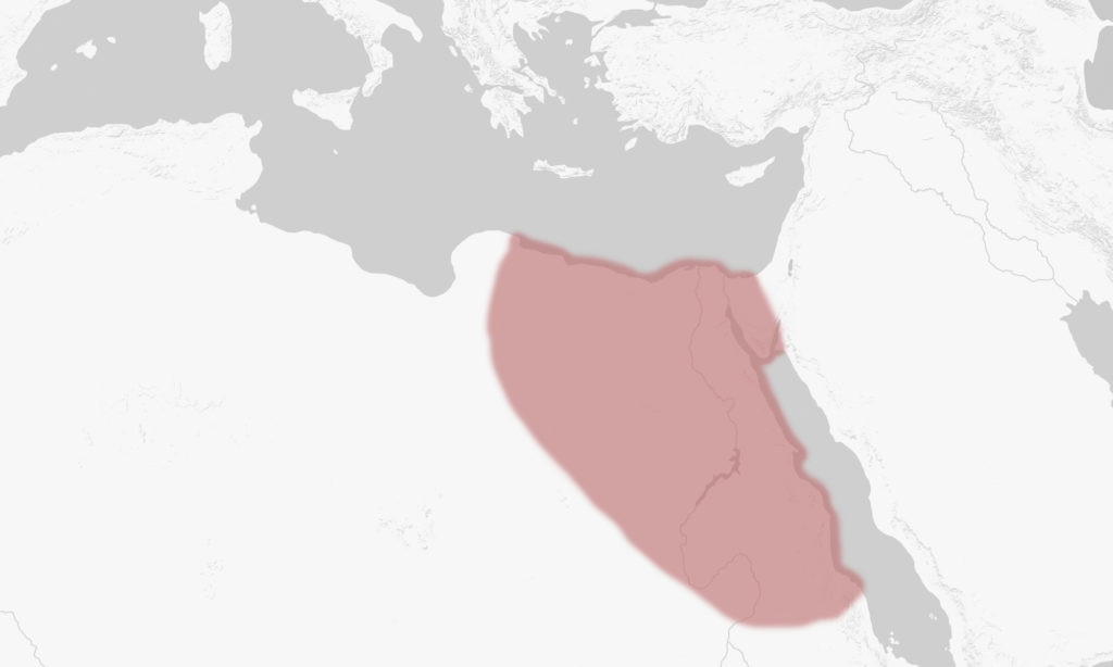 Map of Mediterranean Sea with Egypt highlighted.