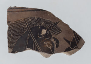 Fragment of a terracotta vase with black-figure painting, revealing part of a horse's head.